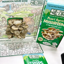 Load image into Gallery viewer, Froggy&#39;s Lair Pearl Oyster Mushroom STEM Nature Kit
