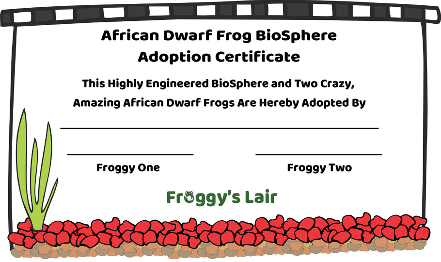 Adoption Certificate-Download your adoption certificate here