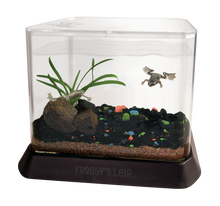 Load image into Gallery viewer, Gallon Aquatic BioSphere with African Dwarf Frogs

