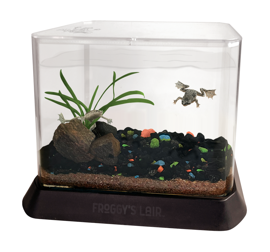 Gallon Aquatic BioSphere with African Dwarf Frogs