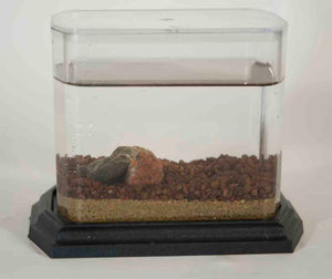 Classic Biosphere Replacement Tank -no frogs or plant -Brown