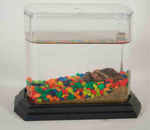 Classic Biosphere Replacement Tank -no frogs or plant-Neon Rainbow