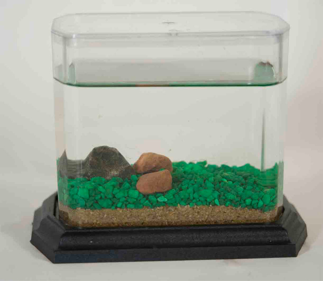 Classic Biosphere Replacement Tank -no frogs or plant-Emerald Green