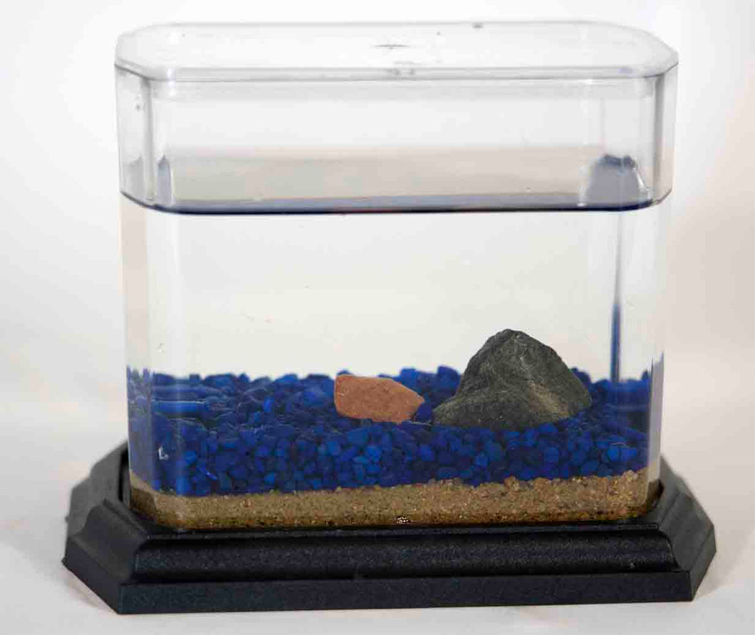 Classic Biosphere Replacement Tank -no frogs or plant-Marine Blue