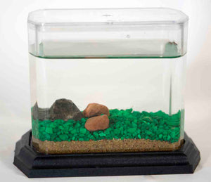 Classic Biosphere Replacement Tank -no frogs or plant-Neon Green