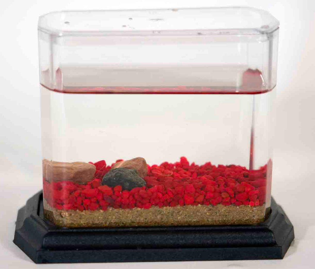 Classic Biosphere Replacement Tank -no frogs or plant -Currant Red